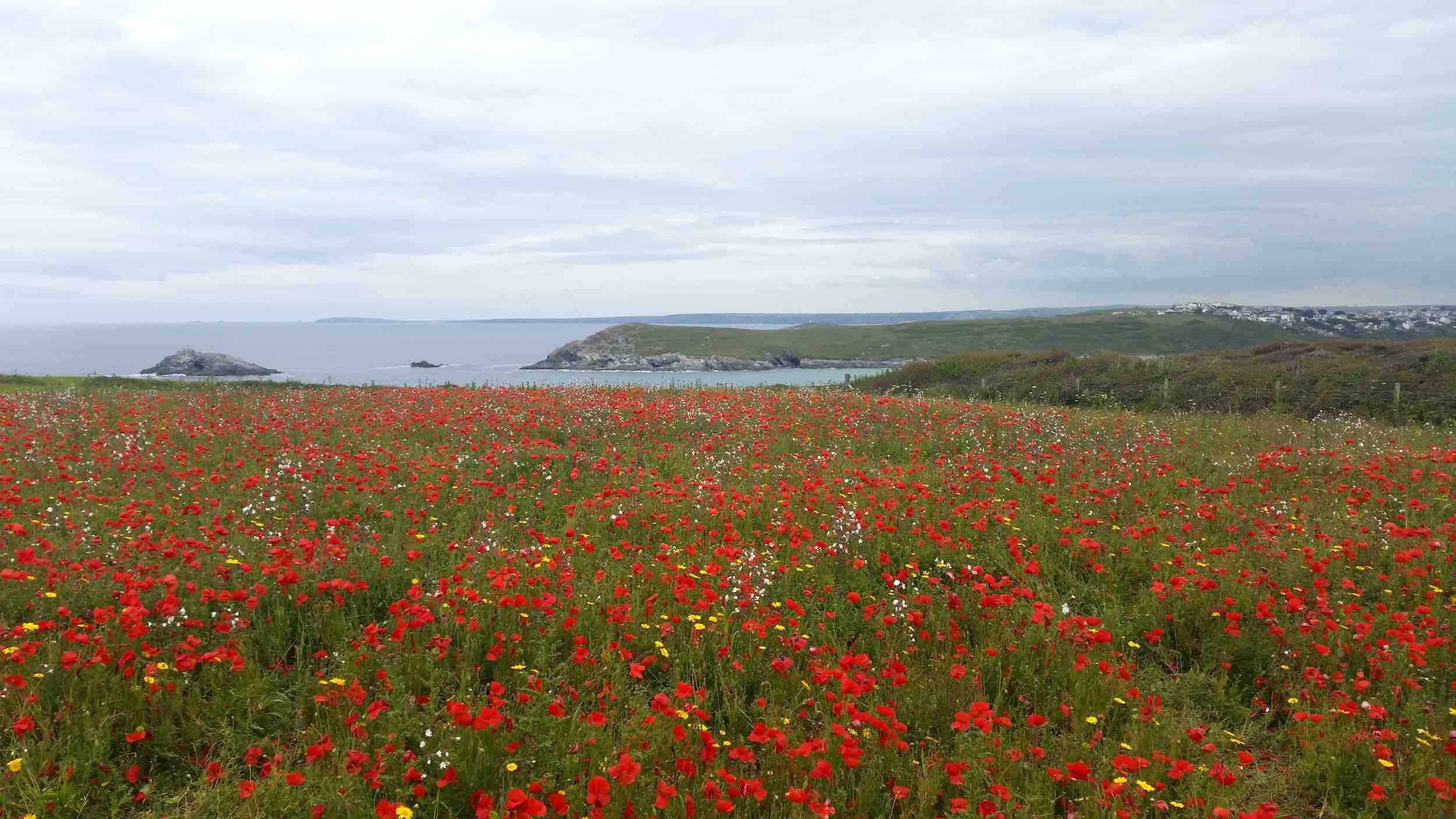 Explore The Beautiful Coastline